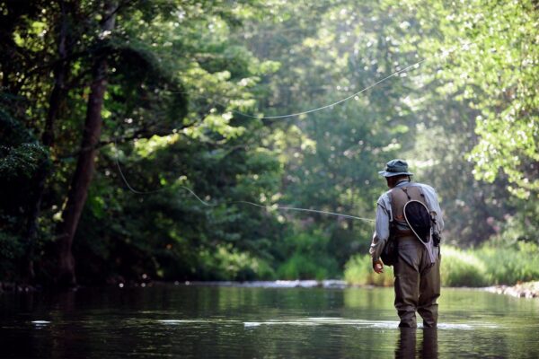 Pipestem Fly Fishing